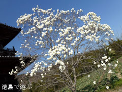 ��ë�� �˲��� �ϥ��⥯��� 2012