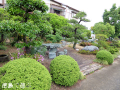 徳島県阿波市阿波町 阿波オープンガーデン 2015