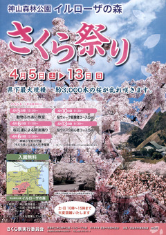 徳島県名西郡神山町 神山森林公園 イルローザの森 さくら祭り 2014