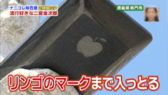 ナニコレ珍百景 徳島県鳴門市 iPadを持つ二宮金次郎