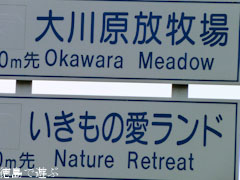 大川原放牧場