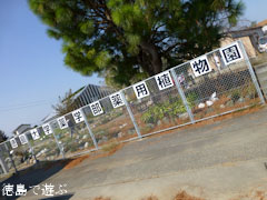 ������������� ���ѿ�ʪ�� 2012