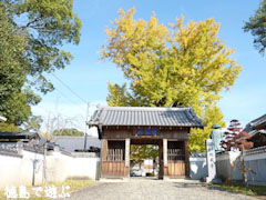 地蔵寺のイチョウ