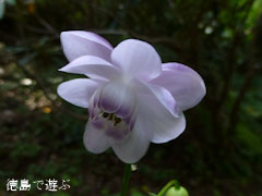 �ٿͤο� ϡ�ھ��� ��󥲥��祦�� 2012