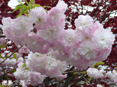 ���縩�������Į ���������� Ȭ�ź� 2015