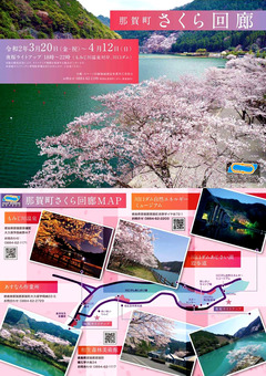 徳島県那賀郡那賀町 スマート回廊 夜桜ライトアップ 2020