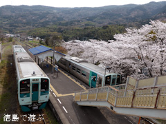 ���縩���ϻԷ��Į JR�͹� ������ �����