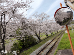 ���縩���ϻԷ��Į JR�͹� ������ �����