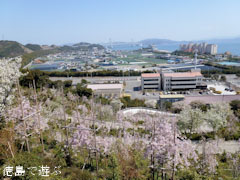 �ָ����κ� 2011