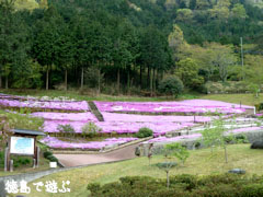 ������¼���� �Ǻ� 2010