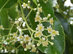 ���Ф��祯�� �� 2013