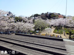 ̯�������� �� 2011