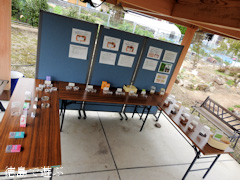 徳島県徳島市国府町 徳島大学 薬用植物園 2015