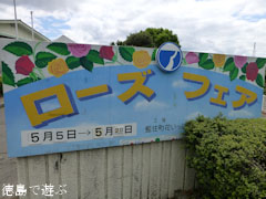 藍住 春のバラ祭り 2012