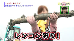 鳴門市 レンコン狩り