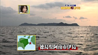 �ȥߡ����ΤϤ�ڤ����å��� �� ����ι������