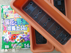 そば 蕎麦 種蒔き準備