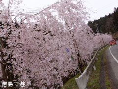 ����Į������ ������� 2013