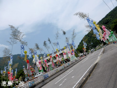 ���縩̾��������Į ��ʬ��̱�� ��14�� ��ʬ��ͼ���� 2014