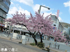 ξ������� ���� 2012