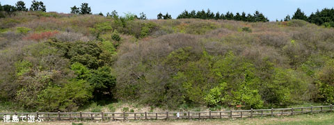 �����ĤĤ����� �����Υ���ĥĥ����� � 2010