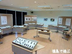 移動展 世界の昆虫
