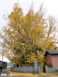 ���縩�������Į ���ݿ��ҤΥ����祦 2014