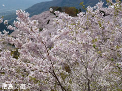����Ӥκ� Ȭɴ�߿�Ƿ���¤κ� 2011