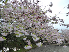 ���縩�������Į ���������� Ȭ�ź� 2015