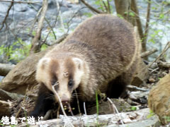 �귧 ���ʥ���