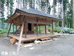 久藪あじさいの里 紫陽花 アジサイ