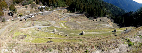 樫原の棚田 2012年2月