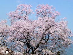 ��Ʋ �Ҥ礦����� 2012