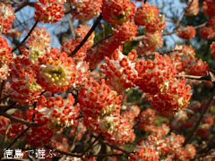 �����ر� �ֲֻ��� �����Хʥߥĥޥ� 2012