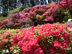 ���縩̾��������Į ��ʬ�֤α�Τ �ĥĥ� 2014