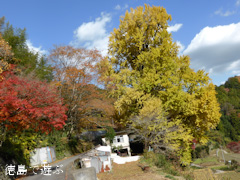 ����Į ����ݤ��������礦 2013