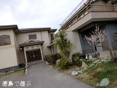 観梅苑 梅の花 2013