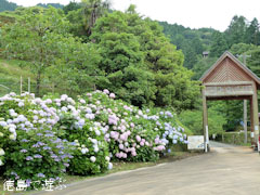 ��������ʸ������ ������������ �� ���۲� �������� 2010