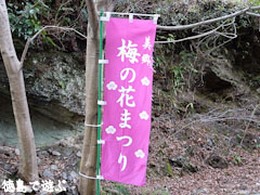 美郷 梅の花まつり
