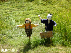 樫原の棚田 2011年9月