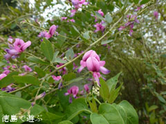 ������ �� 2011