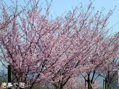 ��ë�� ˪�ܲ�� 2012