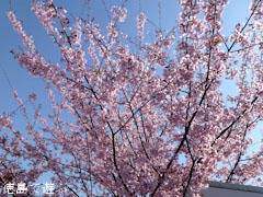 ��ë�� ˪�ܲ�� 2012