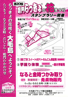 徳島県鳴門市土佐泊浦 鳴門らっきょの花まつり 2025