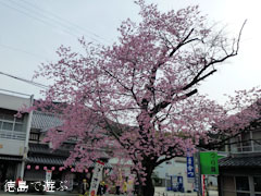 ����Ʋ ̴�� 2012