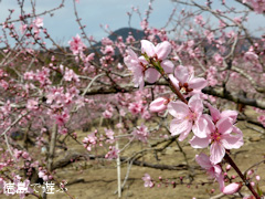 ���縩���������Į ���β� 2014