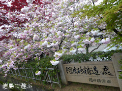 ���縩�������Į ���������� Ȭ�ź� 2015