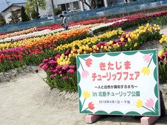 徳島県板野郡北島町 きたじまチューリップフェア 2018
