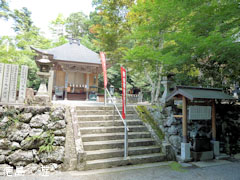 ζ���� ������ ��Ʋ