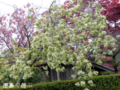 ���縩�������Į ���������� ������� 2015